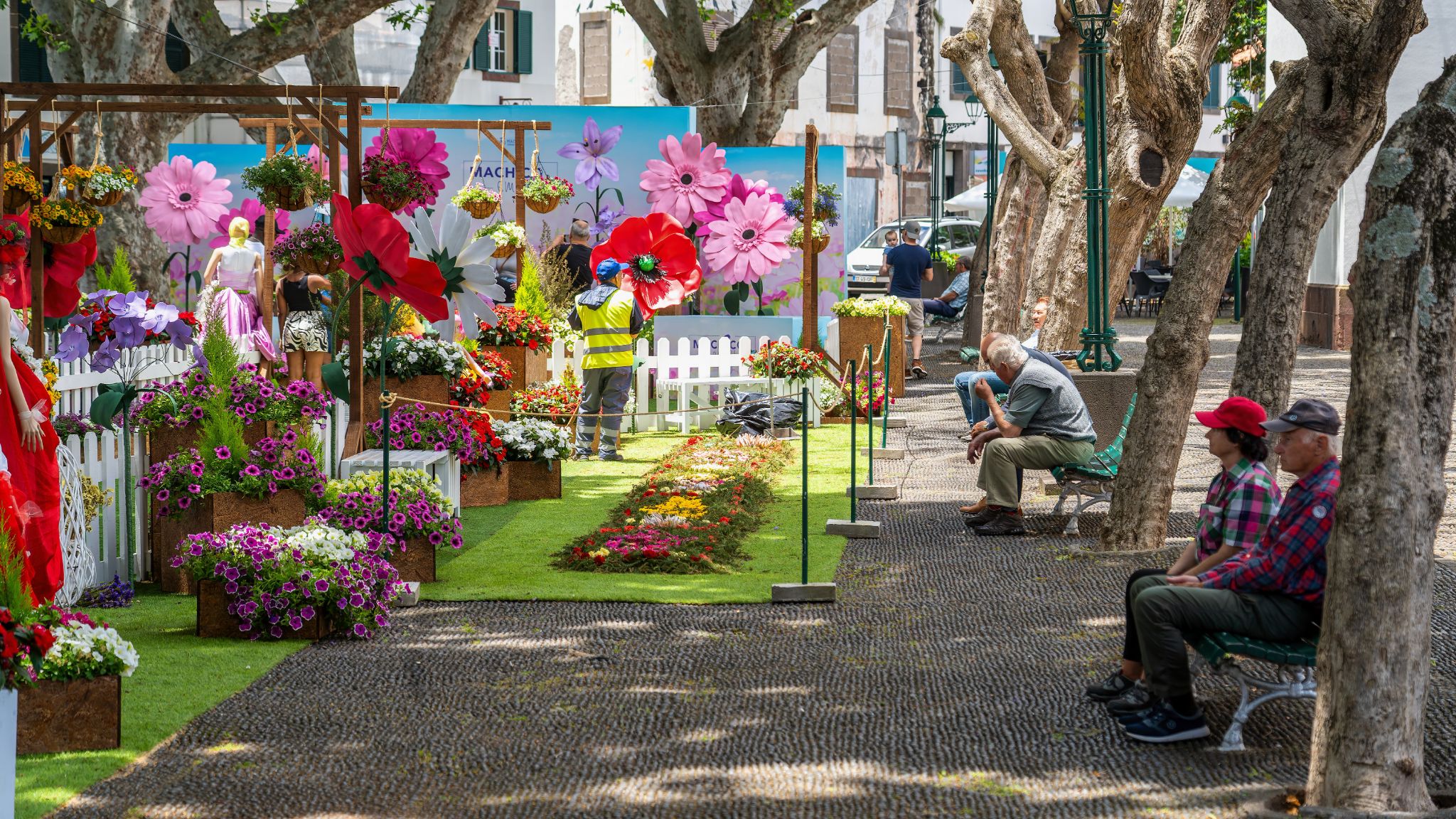 20250519 134106 Machico   CMM   1929, Rua da Arvore, Banda de Além, Machico, Madeira, 9200 099, Portugal